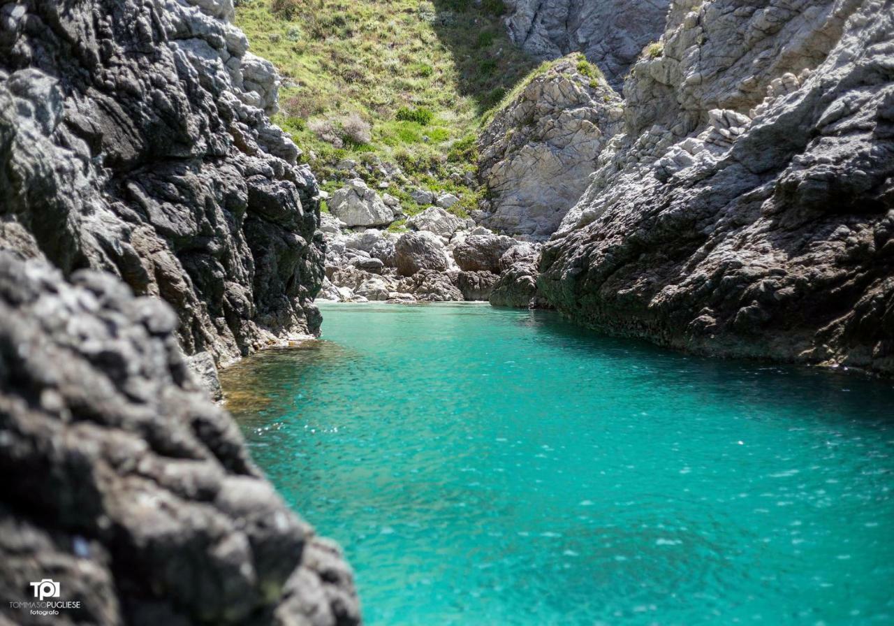 Villa Alice Capo Vaticano Eksteriør billede