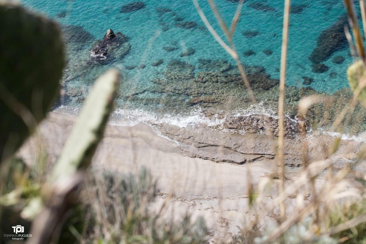 Villa Alice Capo Vaticano Eksteriør billede