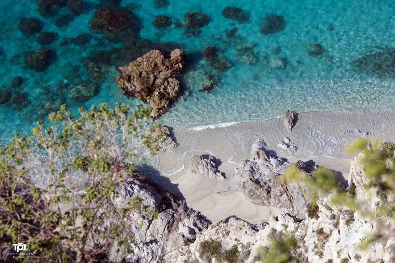 Villa Alice Capo Vaticano Eksteriør billede