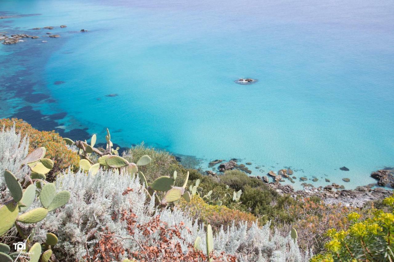 Villa Alice Capo Vaticano Eksteriør billede